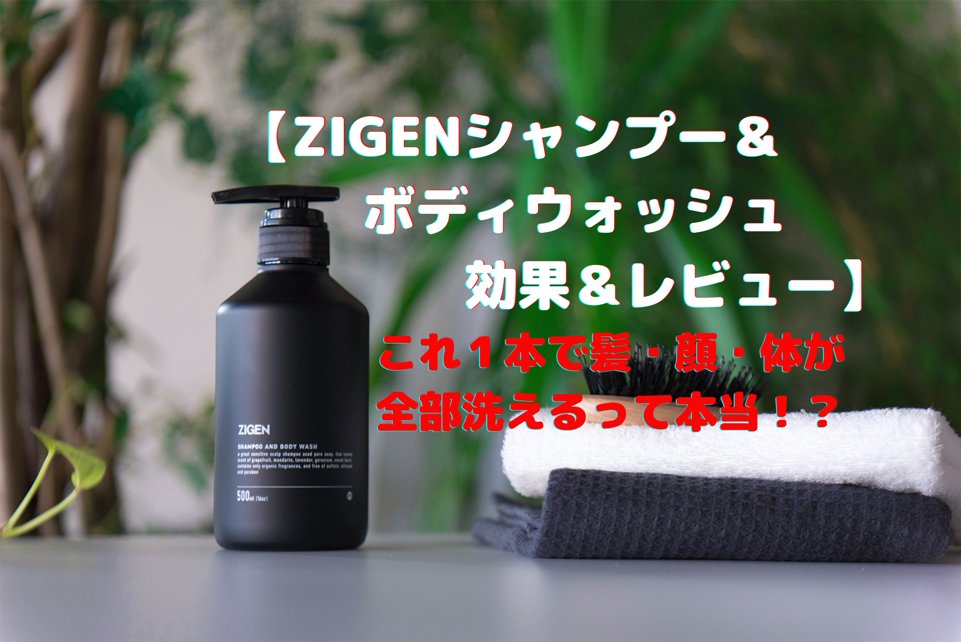 売れ筋】 ディスペンサー シャンプーamp;ボディウォッシュ メンズ 石けん 髪 頭皮 体 全身洗える 柿渋 無添加 ZIGEN ジゲン